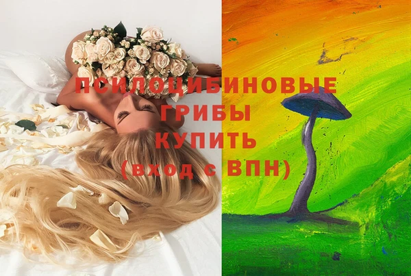 дурь Михайлов