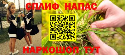 стаф Новодвинск