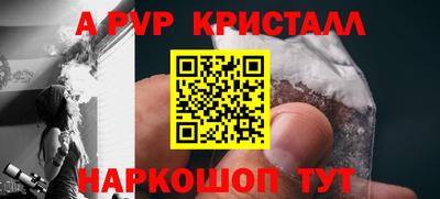 стаф Новодвинск